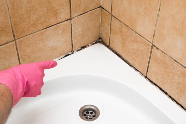 Best Health and Safety Mold Remediation in Des Allemands, LA